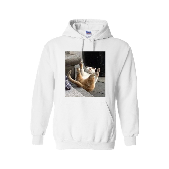Adult Hooded Sweatshirt Gildan Heavy Blend 18500