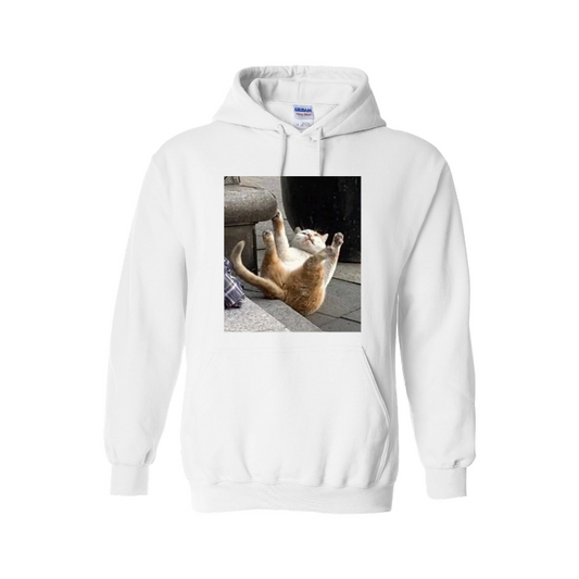 Adult Hooded Sweatshirt Gildan Heavy Blend 18500