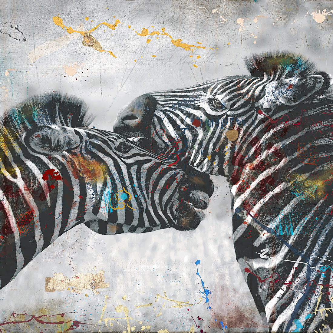 Zebra - ZEBRA 5