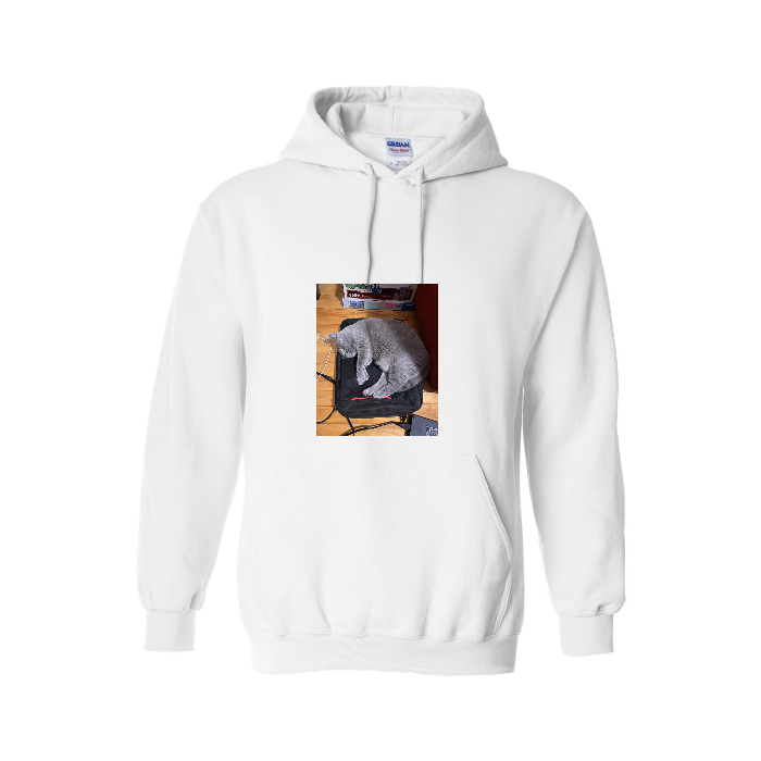 Adult Hooded Sweatshirt Gildan Heavy Blend 18500